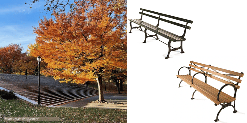 10 Favorite Scenes of Park Benches in Autumn preview 9